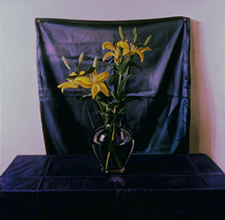 Schmidt, Yellow on Blue