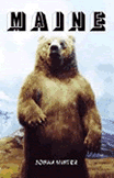 Winter, Maine