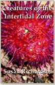Susan Richardson, Creatures of the Intertidal Zone